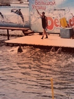 Утро в дельфинарии обои