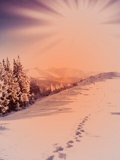 Холодные лучи зимнего солнца обои