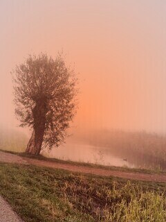 Дорога растворяется в тумане обои