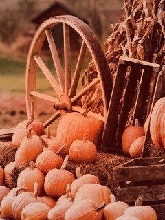 Урожай обои