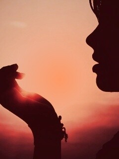 Солнце в ладони обои