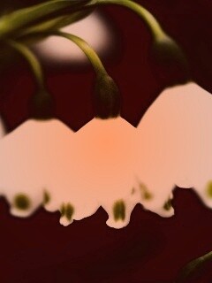 Белые ландыши обои