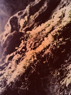 Мшистый камень обои