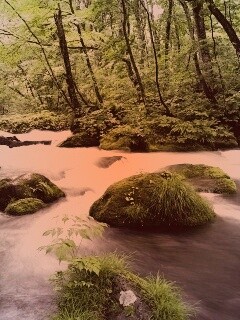 Лесная река обои