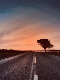 Дорога обои