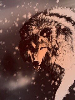 Охота на волка обои