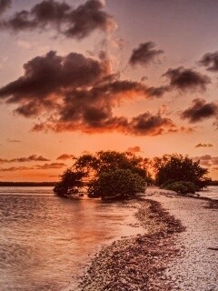 Побережье на закате обои