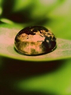 Целый мир в капле воды обои