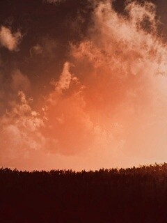 Закат над лесом обои