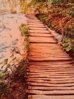 Деревянная дорожка над ручьем обои