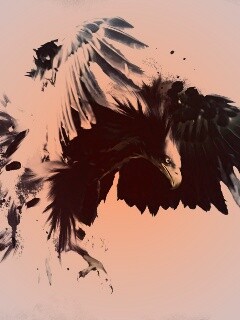 Скетч с орлом обои