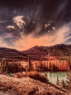 Болотистая местность обои