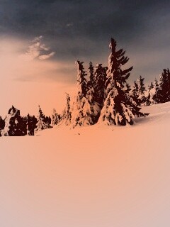 Зимние просторы обои