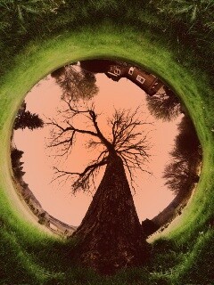 Другой взгляд на мир обои