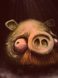 Свинья из Angry Birds обои