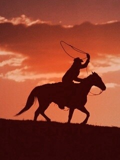 Силуэт ковбоя на закате обои