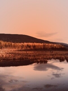 Осеннее озеро обои