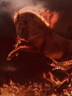 Огненный скакун обои