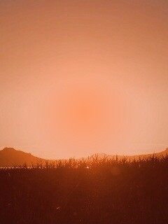 Сельский закат обои