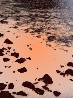 Каменистый берег обои