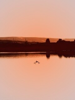 Утиное озеро обои