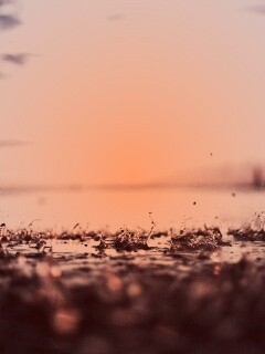 Дождь в макро обои