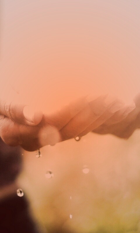 Дождь в ладонях обои