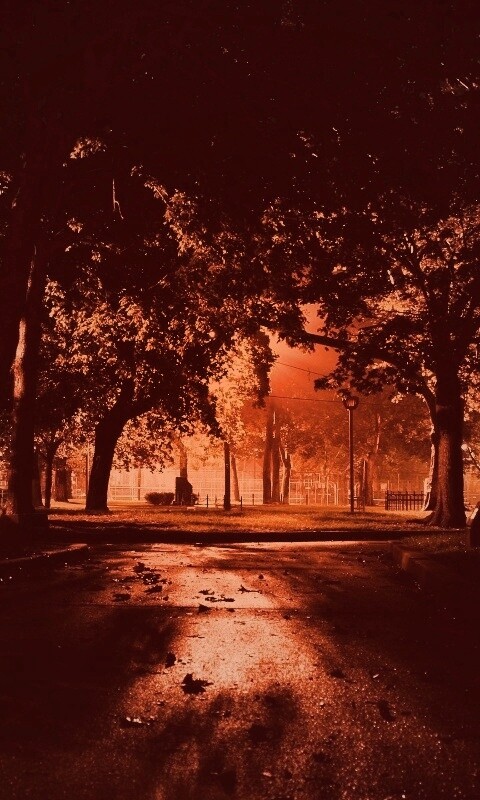 Ночной парк обои