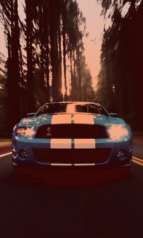 Форд Шелби обои