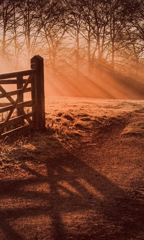 Открытые ворота обои