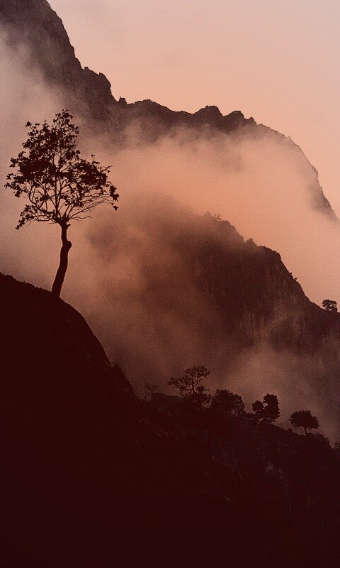 Сумерик в горах обои