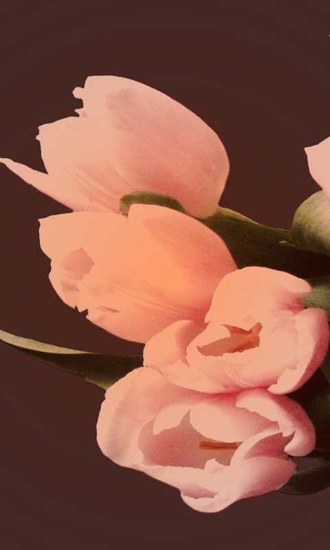 Розовый букет обои