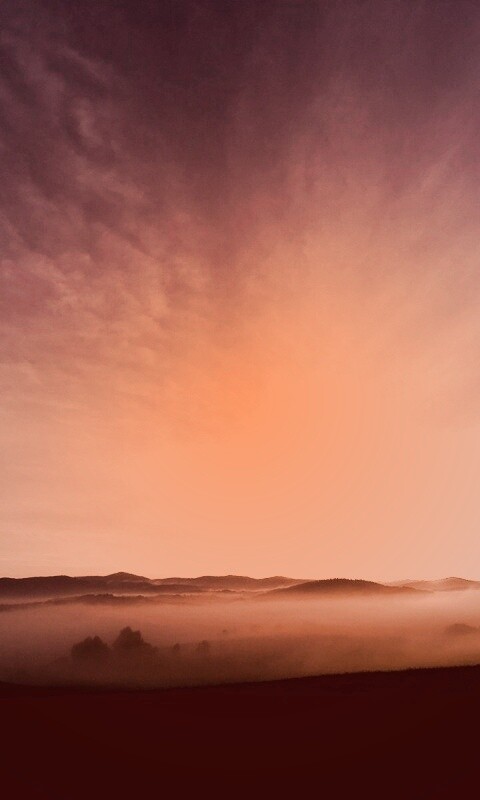 Утренний туман обои