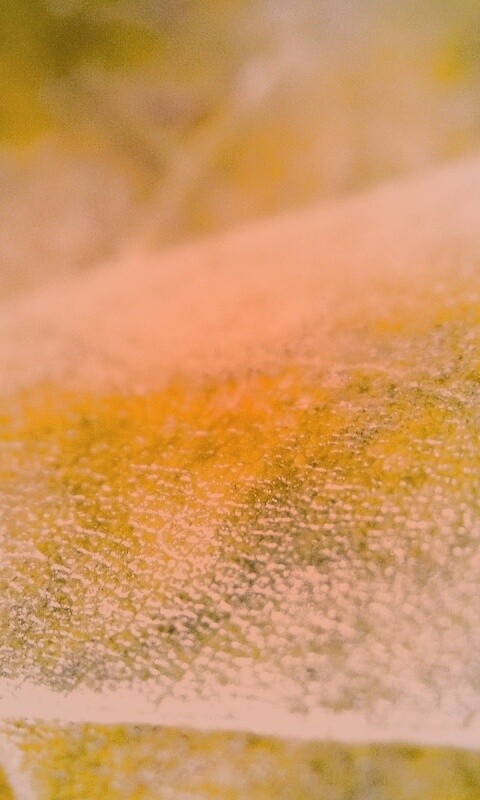 Повехность листа обои