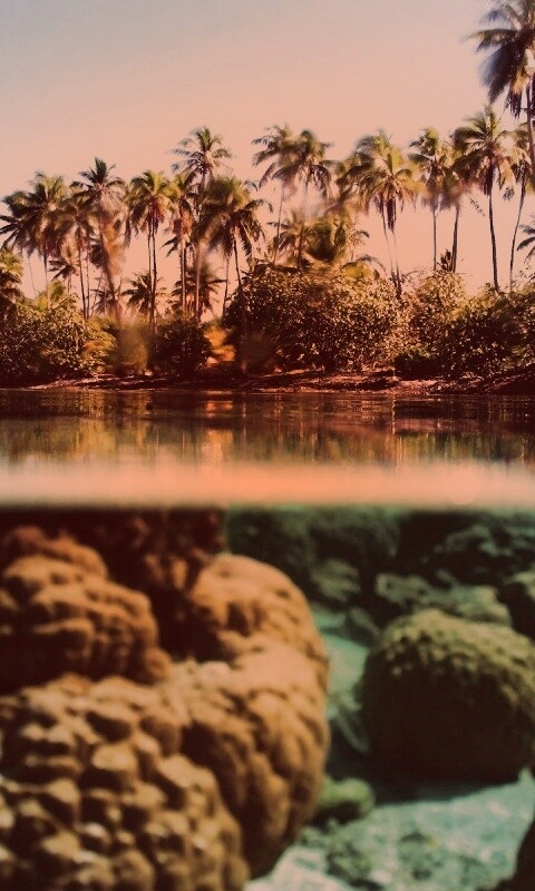 Из-под воды обои