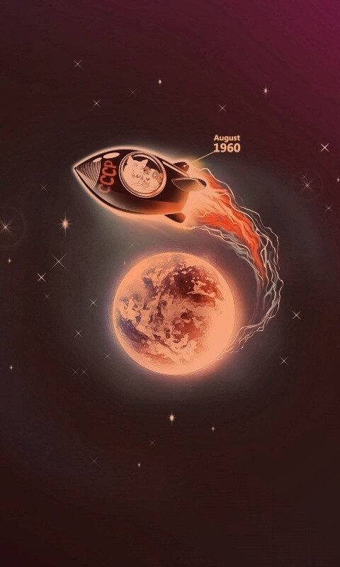 Белка и Стрелка летят в космос обои