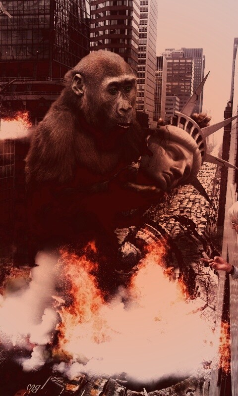 Обезьяна терроизирует Нью-Йорк обои