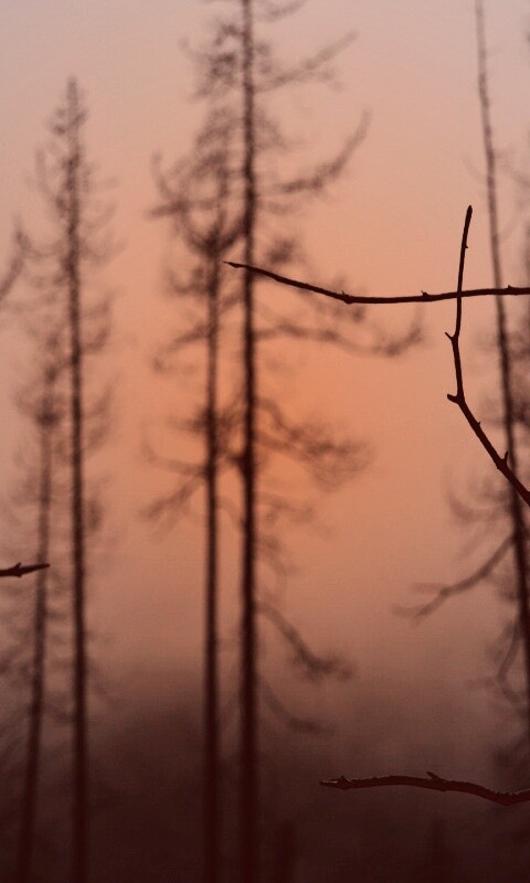 Безысходность обои