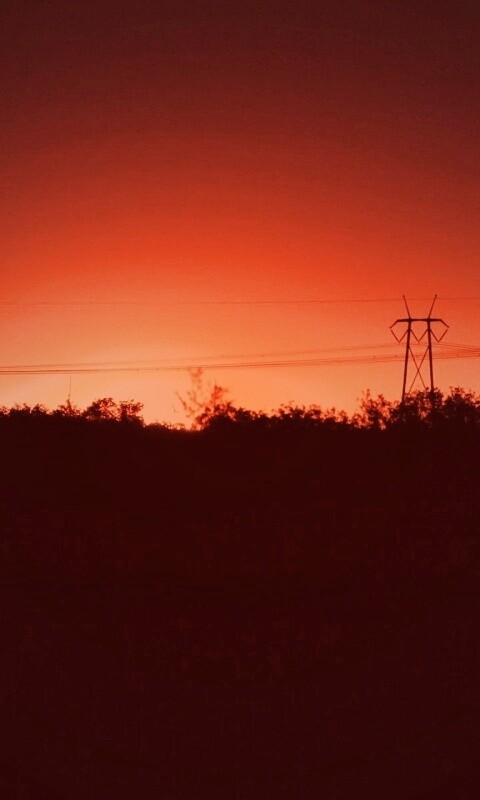 Закат за лесом обои