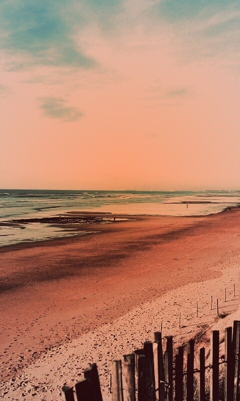 Обмелевший берег обои