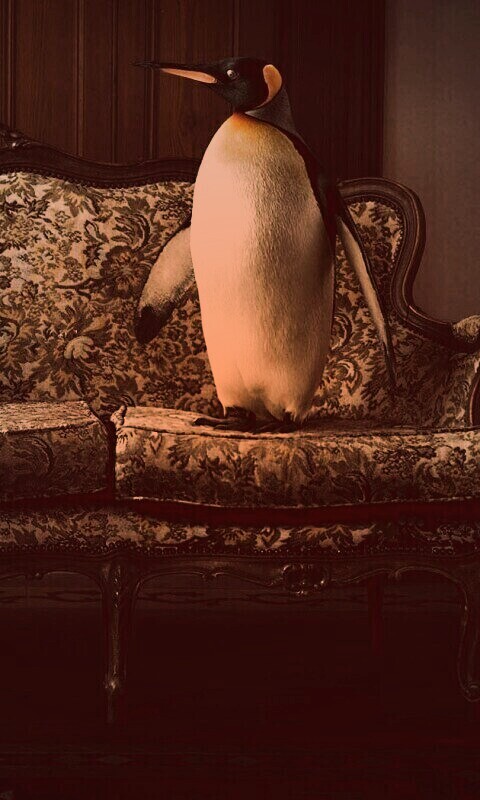 Соседи по дивану обои