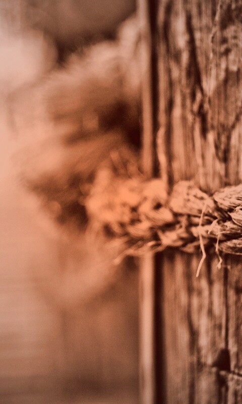 Веревка на деревянном столбе обои