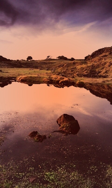 Затопленная долина в Новой Зеландии обои