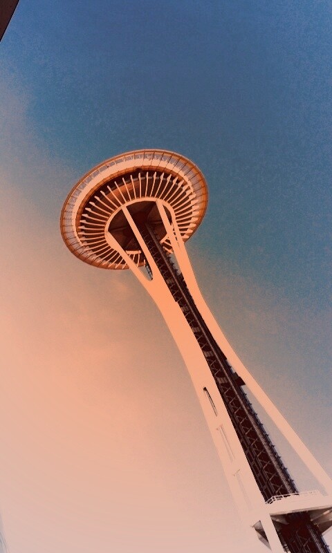 Space Needle Tower обои