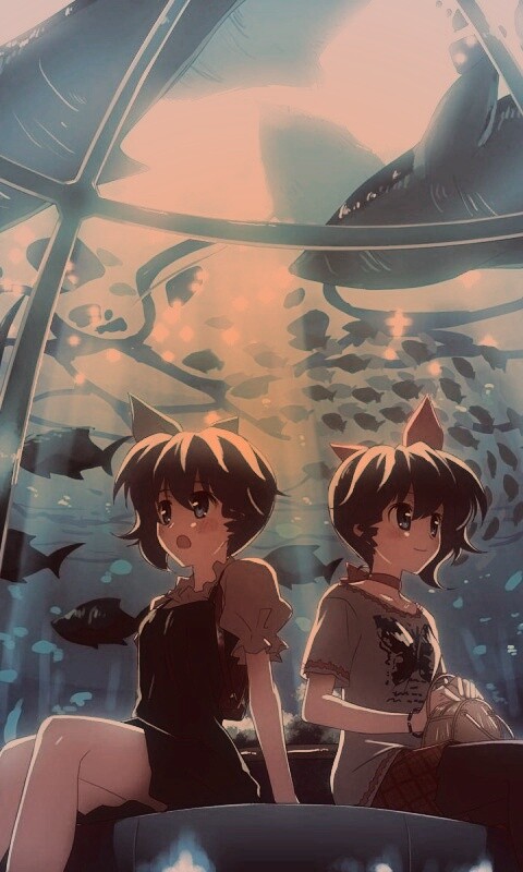 В океанариуме обои