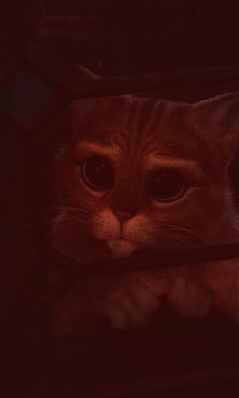 Кот в сапогах обои