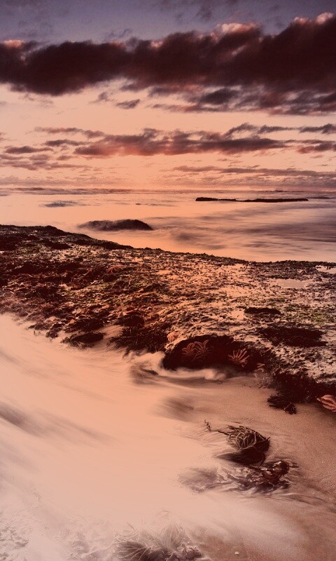 Туманный мыс обои