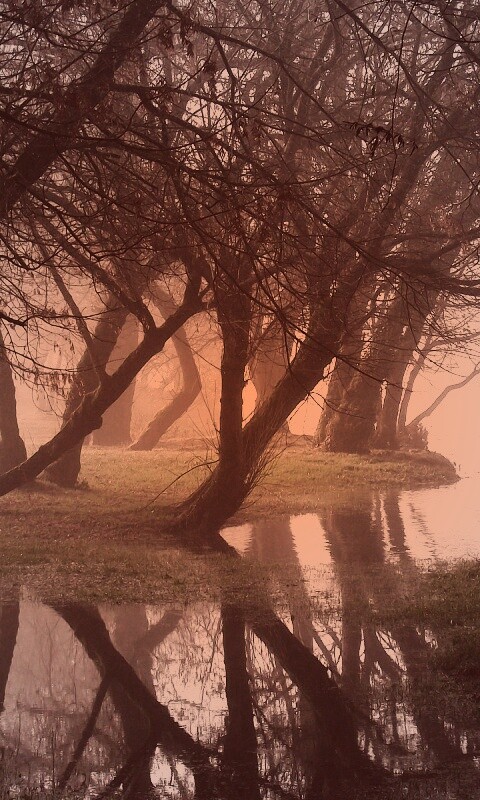 Затопленный парк обои