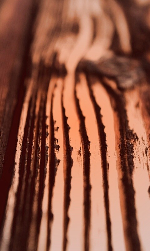 Рельефная доска обои