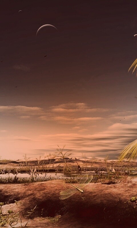 Флора и фауна другой планеты обои